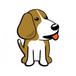 Beagle Bone Beagle Bone