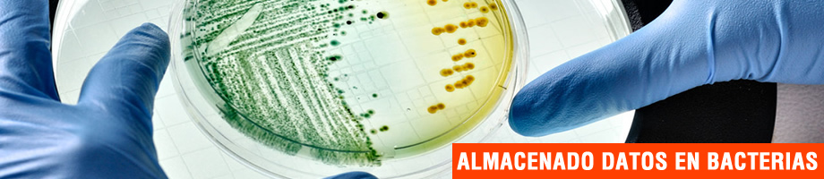 Banner almacenamiento de datos en bacterias