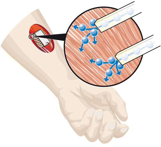 chemical circuit in body